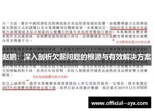 赵鹏：深入剖析欠薪问题的根源与有效解决方案