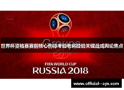 世界杯资格赛赛前核心伤停考验老将经验关键战成舆论焦点