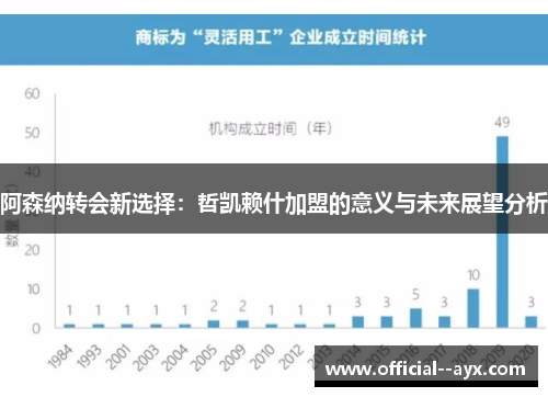 阿森纳转会新选择：哲凯赖什加盟的意义与未来展望分析